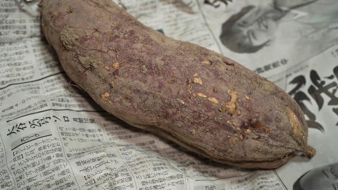 鶏肉とさつまいもの甘辛マヨ炒め。