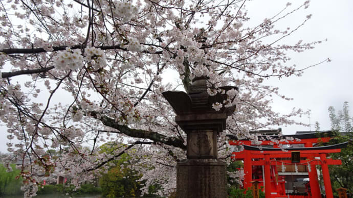 ２０２３年・京都霊場魔所の桜・その１　＠　京都妖怪探訪（８３０）
