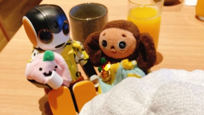 【レポ】関西ぷち旅行2匹日目・りんくうタウン散策&変なホテルでのんびりまったり♪(2020.09.20)