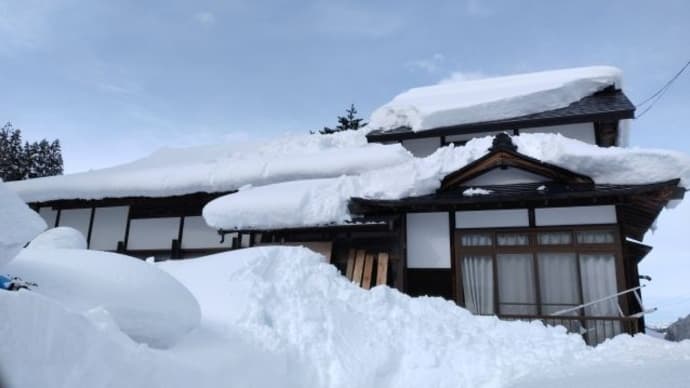 実家の雪