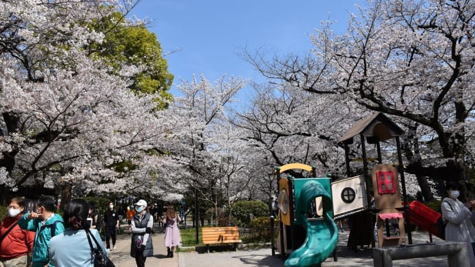 さくら狩り 東京都千代田区 千鳥ヶ淵公園(1)半蔵門側より