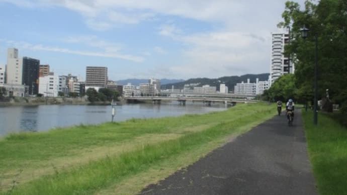 リバーサイドで暮らす保護ネコちゃんたち・・・元気そうで一安心 広島市の川辺の保護猫ストーリー