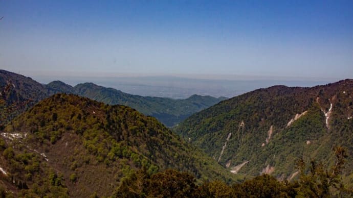 花春の訪れた番場島・早月尾根山歩 その二