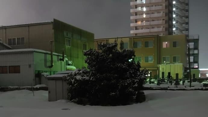 豪雪、一休み