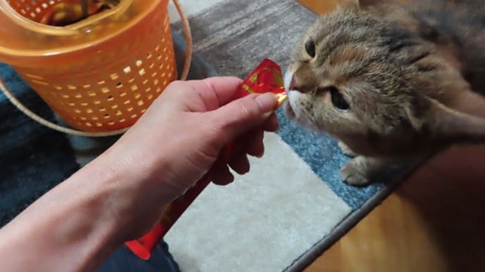 福多ん爪切り&ハプニング(;^_^A