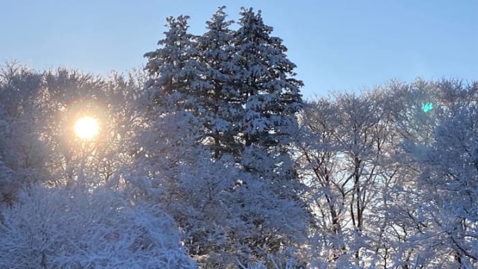 雪の次の日