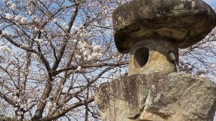 大山田「炊村」(ｶｼｷﾑﾗ)、地名発祥の地は「清水淅井戸」(ｼｮｳｽﾞｺﾒｶｼｲﾄﾞ)…