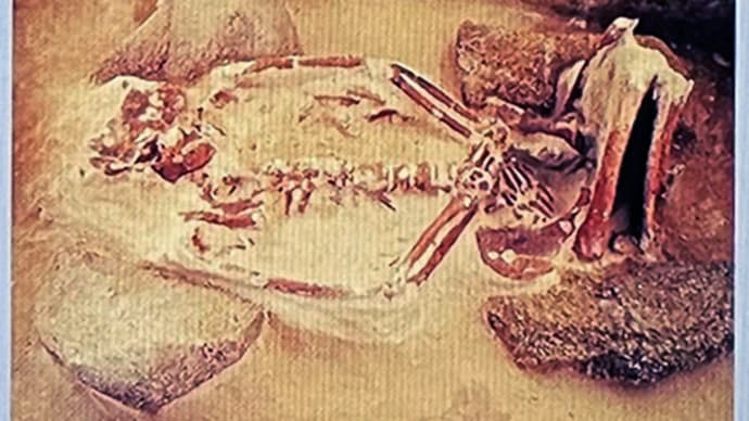 【農耕社会=戦争が同時に誕生日本列島37,000年史-27】