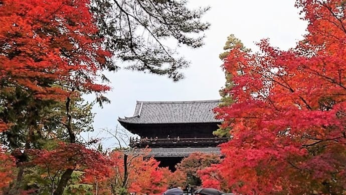 「紅葉」／南禅寺（京都） 