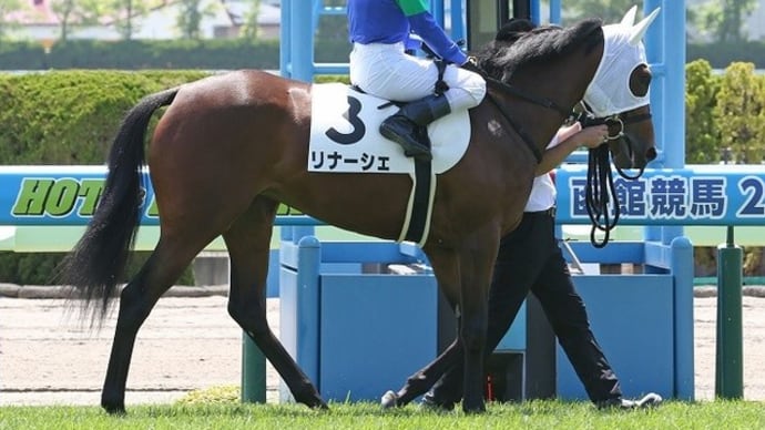 【リナーシェ】ファンタストクラブへリフレッシュ放牧