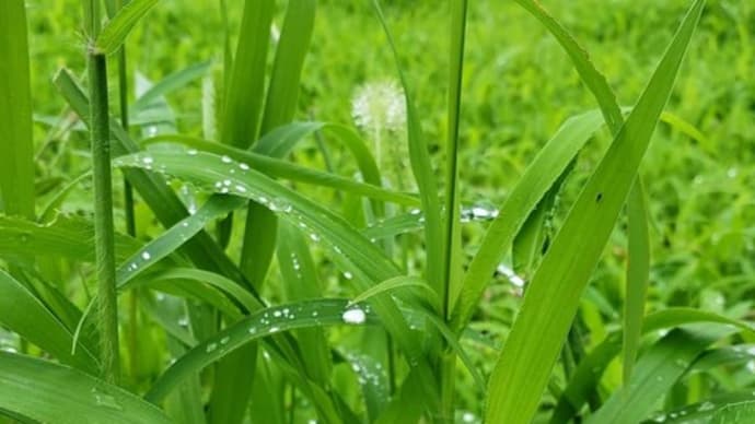 月曜クラスの皆さま
