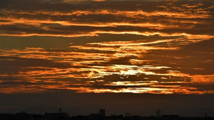 知る人ぞ知る鶴見市場 夜編 その6