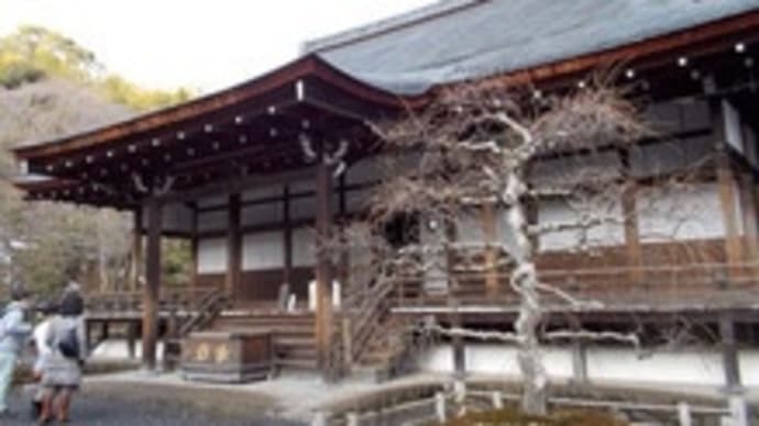 天龍寺*