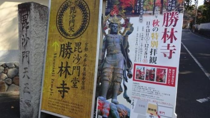 【勝林寺】娘3号と2人京都旅⑦2021/11/15