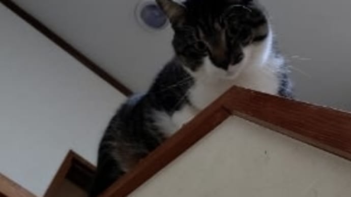 ちょっと、お出かけ