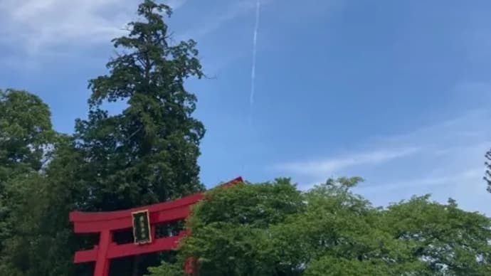 【鎮魂旅行】その2〜栃木県安住神社〜異常な鳥居と、清浄な鳥居。〜