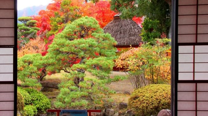 信州・松代　真田邸・庭園の紅葉も、見ごたえあり･･････！
