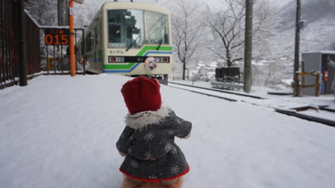 雪が積もる日に特別公開された鞍馬二ノ瀬の「白龍園」。白銀の世界がそこに