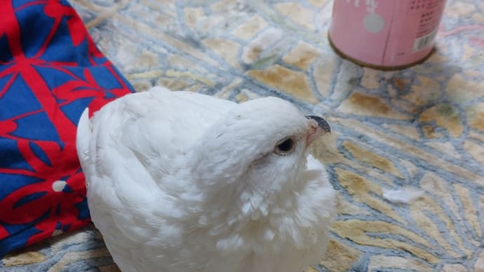 ローリーのなぞ