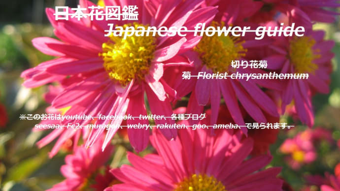 赤い輝き?!Red glow? !!