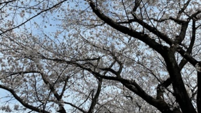 介護ブログを更新しました。
