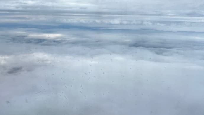 広島、愛媛出張 よもや話