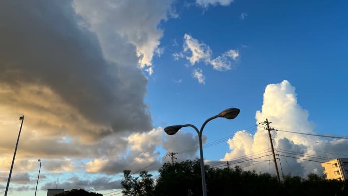 秋めいて来たなぁ