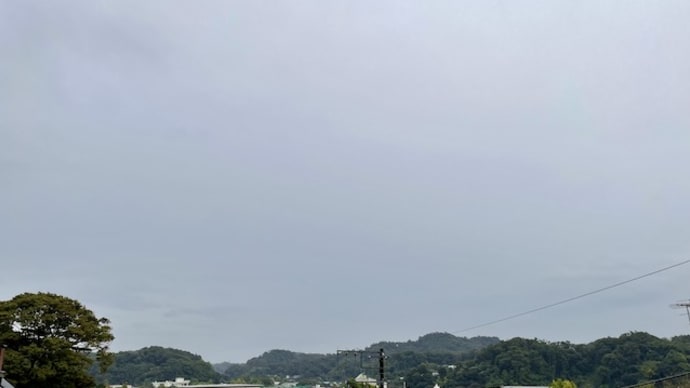 裏山の木の伐採