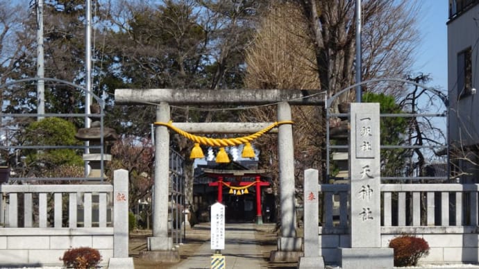 2種類(紅色・白色)鳥居の下にある金色の綱が何故か気になりますね!!
