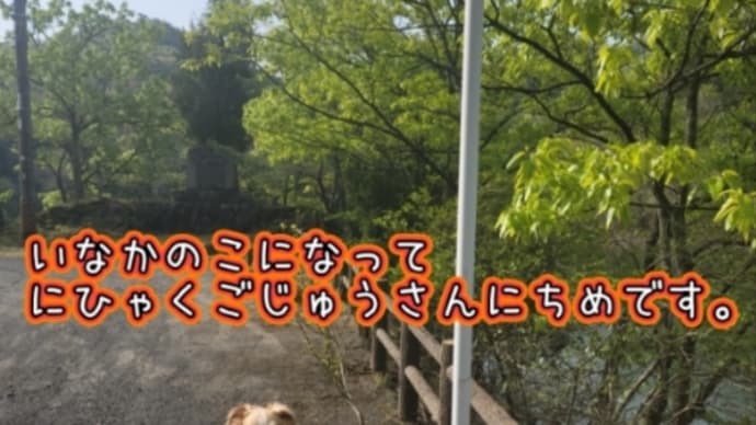 2023.04.18