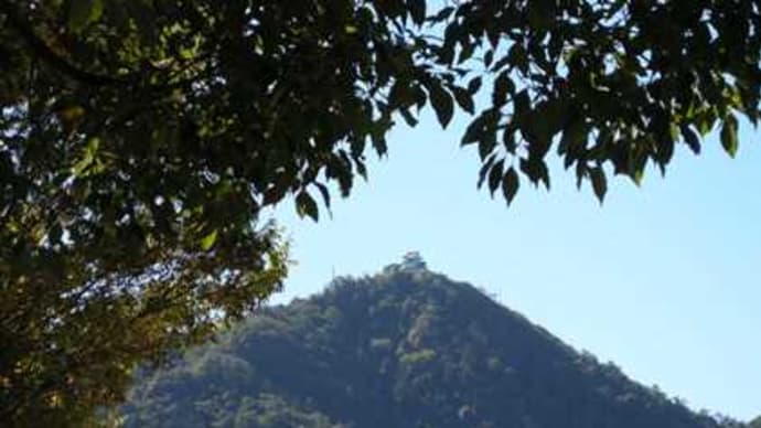 長良公園より