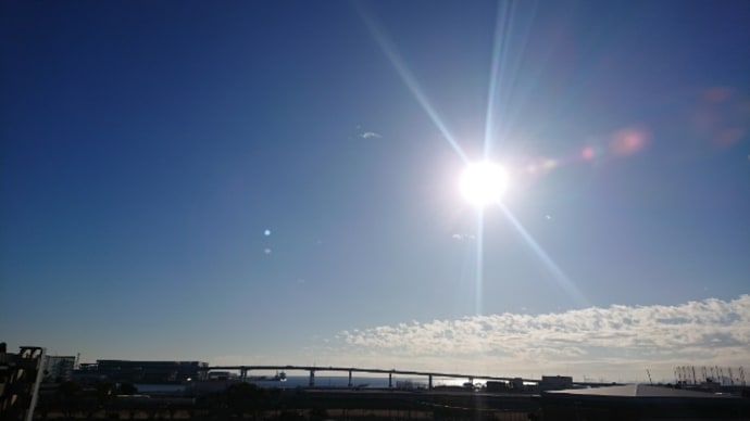 ポカポカ土曜日