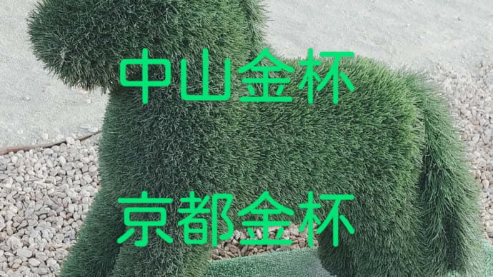 競馬G3 中山金杯 京都金杯を振り返る 馬券の結果