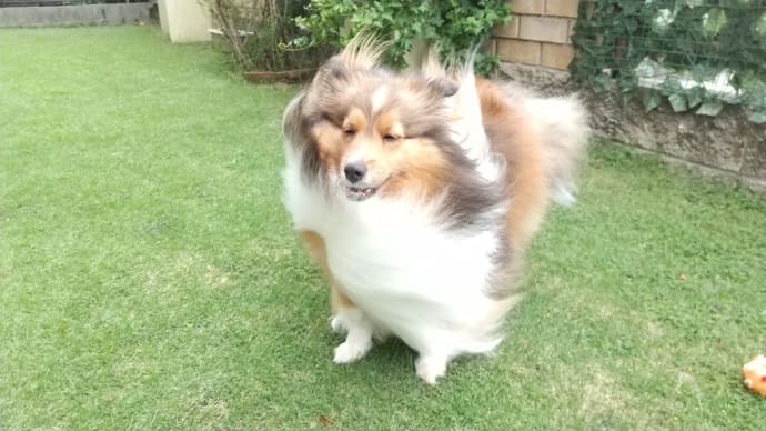 台風11号🌀