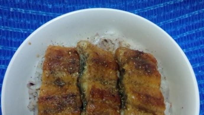 【07/30】蒲焼中部で鰻丼、これにて鰻しゅ~りょ~:D