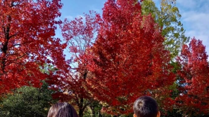 紅葉便り 秋の味覚