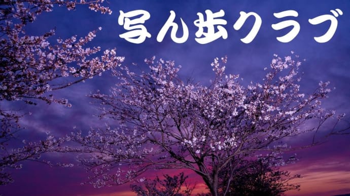 代掻きと田植え