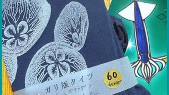 ミズクラゲ