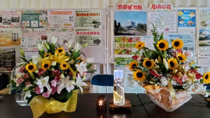 夏の花は傷むのが早い!