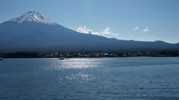 もみじ祭山梨県「河口湖」にて