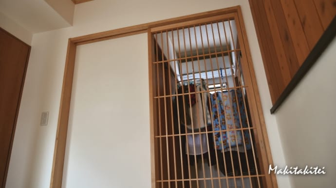 グランデノーブルで蓄熱暖房に目覚めた(冬限定で物干し部屋の解禁)