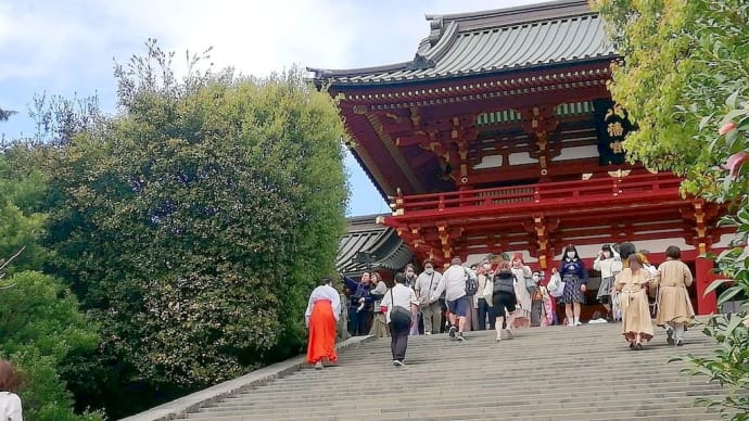 鎌倉でトコトコ~建長寺と鶴岡八幡宮~