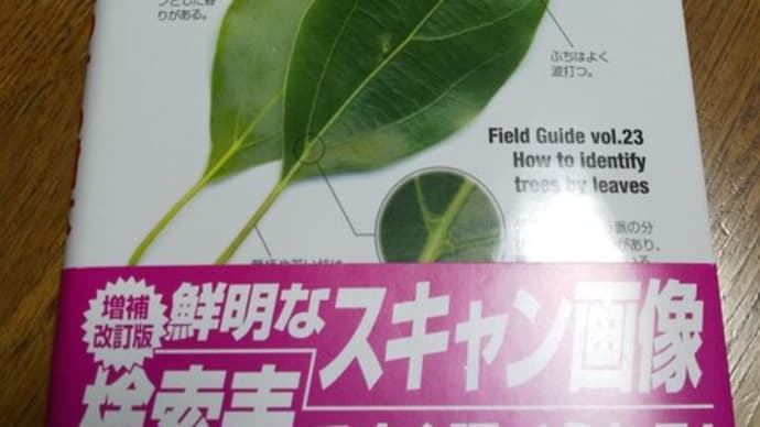 ハッシュタグ 葉で見わける樹木 Goo Blog Gooブログ ハッシュタグ 葉で見わける樹木 Goo Blog Gooブログ
