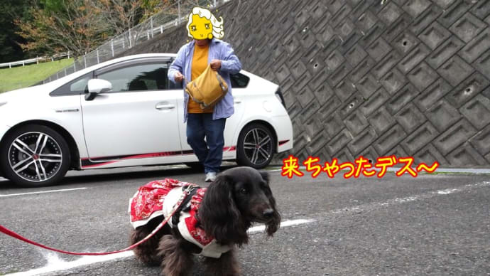 うちの子記念日in岡山県動物愛護フェスティバル