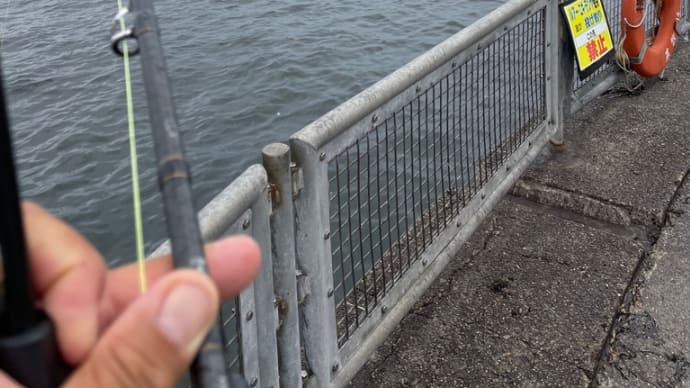 マンゴー隊隊長に乗せられて(タコ釣り@本牧/三浦/三崎/城ヶ島:釣果)