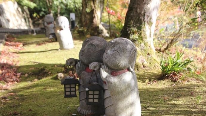 法界院~2023年11月18日
