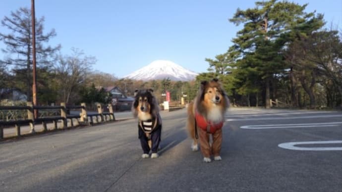 富士山がきれい👌