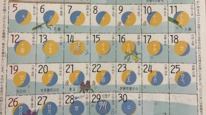 ◉6月の出没予定です 2022◉