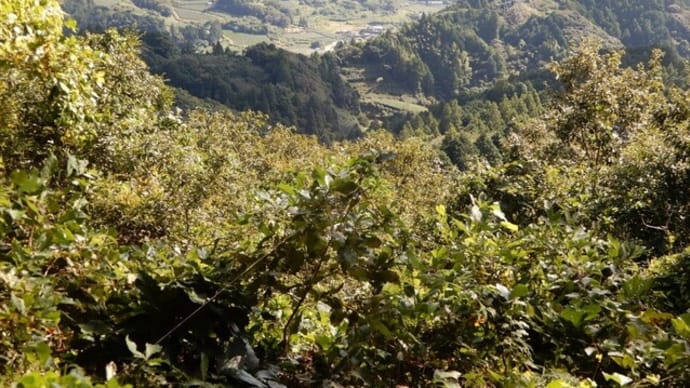 靴慣らし散歩 火剣山 3