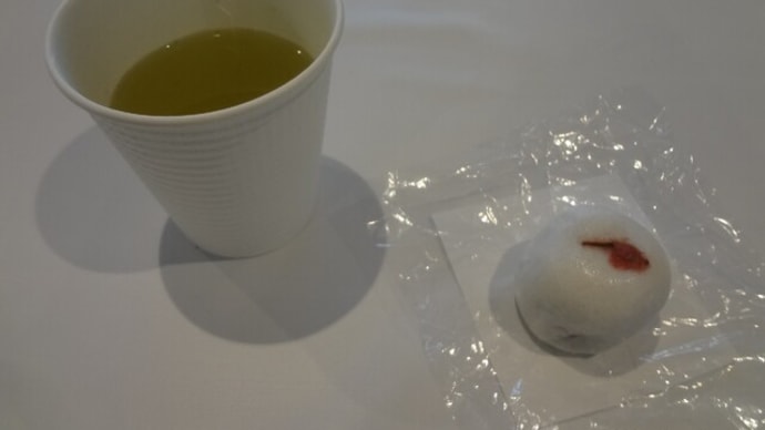 収穫多し。青パパイヤ。切れ端ケーキ。無農薬みかん。